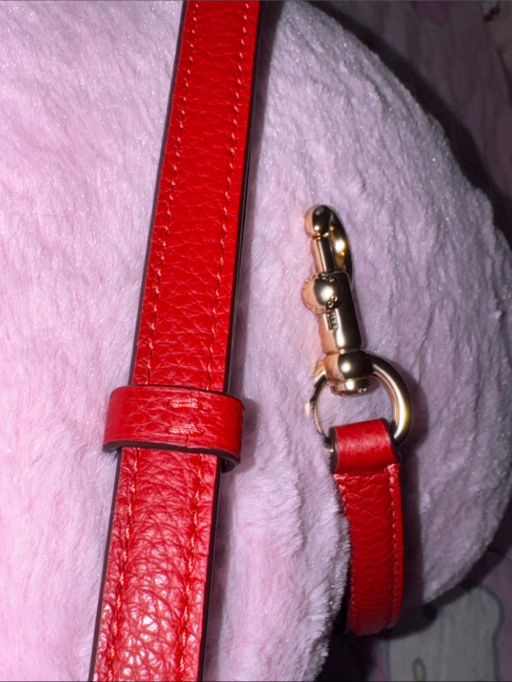 Coach Red Leather Adjustable Crossbody Strap with Gold Hardware - Picture 5 of 11